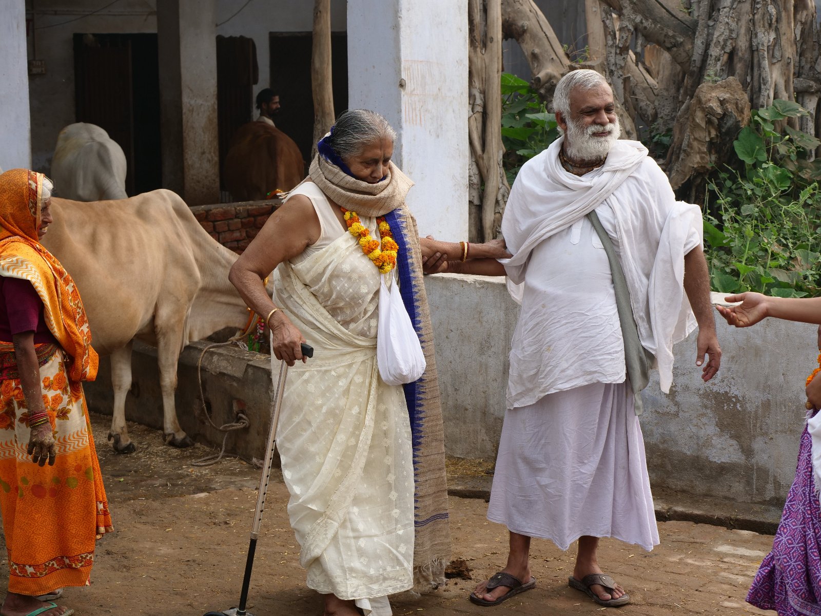  142 Gopashtami Radha kunda Govardhan 19.11.04
